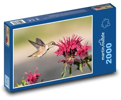 Obrázok produktu pre martinpuzzle – Puzzle 2000 – Kolibrík