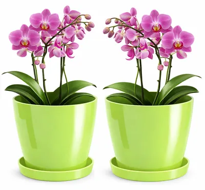 Obrázek produktu pro Sada dvou lesklých vnitřních květináčů s podmisky, průměr 28 cm