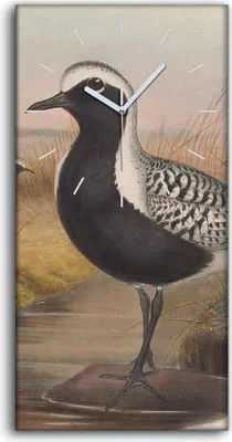 Produktbild von Dekor Leinwand Uhr Wandbilder Geräuschlos 30x60 Vögel Wild Tiere Zeichnung Kunst - weiße Hände