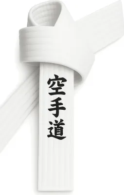 Produktbild von Karategürtel Weiß bestickt - Karate Do Schriftzeichen japanisch - Weißgurt mit Kanji Bestickung - 280 cm Länge
