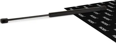Produktbild von RIDEX Gasfeder Motorhaubendämpfer 459mm passend für MERCEDES-BENZ E-Klasse Limousine (W210) 535N 514G0026