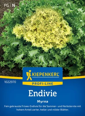 Produktbild von Kiepenkerl Endiviensamen Myrna Cichorium endivia 100 Pflanzen