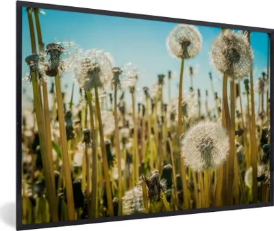 Produktbild von MuchoWow® Gerahmtes Poster Blumen - Löwenzahn - Gras 90x60 cm - Poster mit Schwarzem Bilderrahmen Wandposter Rahmen Foto Bilder - Fotorahmen - Foto-Plakat