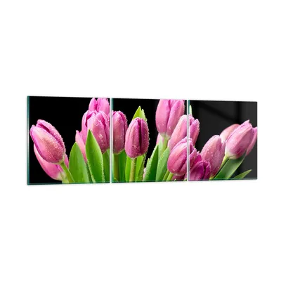 Produktbild von Bilder auf glas - Tulpen Blumenstrauß Tau Tropfen - 90x30cm - Glasbilder - Wandbilder - Kunstdruck - zum Aufhängen bereit - Wanddekoration aus Glas - Glas Bilder - Wandbild auf Glas - GCA90x30-2486