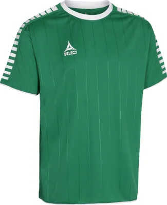 Produktbild von Select Argentina Trikot gruen weiss