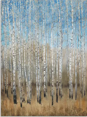 Produktbild von ARTland Glasbild Staubige blaue Birken II Größe: 45x60 cm
