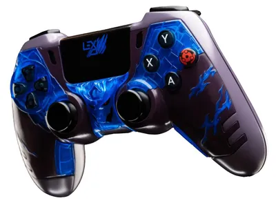 Productafbeelding van LEXIP - Ontwerp van de MADARA-controller