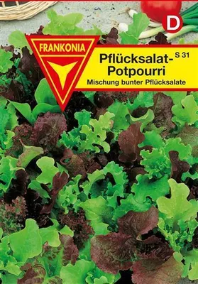 Produktbild von Pflücksalat Potpourri