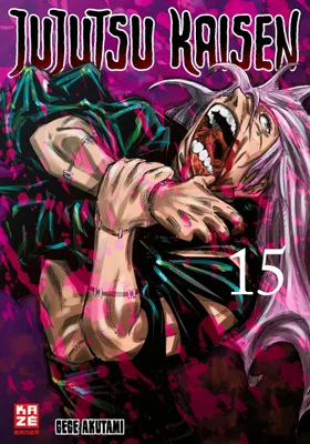Produktbild von Jujutsu Kaisen – Band 15