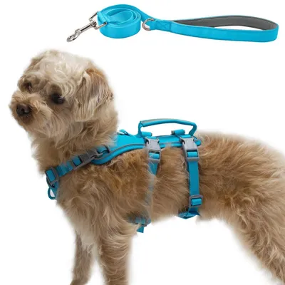 Immagine prodotto di Imbracatura per cani con guinzaglio, antiscappamento, anti-tiro, riflettente, regolabile, blu, taglia M