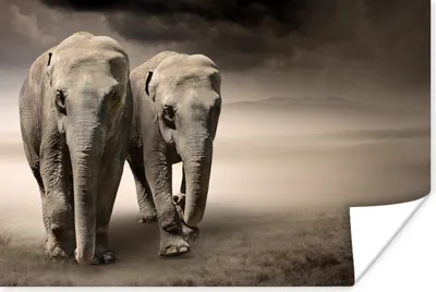 Produktbild von MuchoWow® Poster Elefant - Berg - Nebel 180x120 cm - Fotoplakat