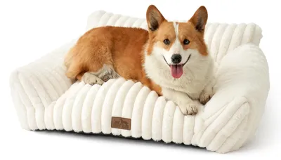 Orthopädisches Katzenbett 80x60x33cm, Cord-Kunstfell, waschbar, Creme