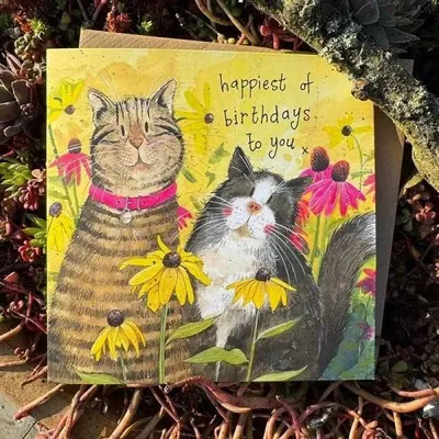 Immagine prodotto di Abbonamento «Compleanno: 2 gatti tra i fiori» - Alex Clark
