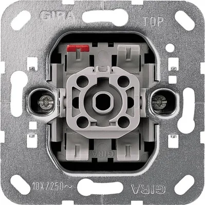 Produktbild von GIRA 010600, Metallisch, 250 V, 10 A