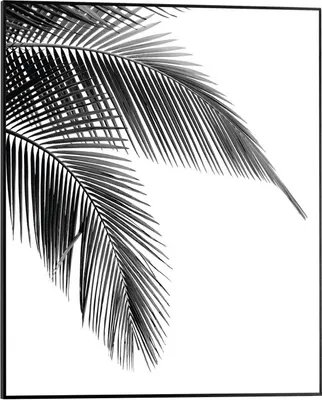 Produktbild von REINDERS! 83200, 1 Stück(e), 400 x 500 cm