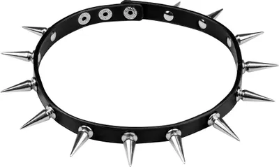 Produktbild von Spikes Halsband