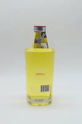 Produktbild von Ungava Canadian Premium Gin | 43,1 % vol | 0,7 l