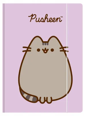 Obrázek produktu pro Složka formátu A4 s gumičkou Pusheen