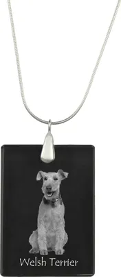 Immagine prodotto di Terrier gallese - Ciondolo in cristallo con cane, collana in argento con foto, ciondolo personalizzato del marchio Art-Dog
