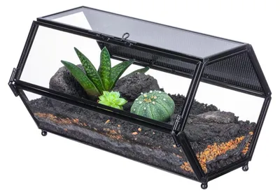 Productafbeelding van Mini-glazen terrarium voor insecten en planten