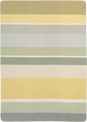 Produktbild von Biederlack Plaid mit Overlocksaum Stripe Delight Größe 150 x 200