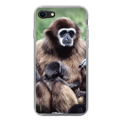 Produktbild von MuchoWow® Handyhülle Schutzhülle Hülle für iPhone 8 Affe - Pflanzen - Jung Silikon Softcase Handy Hülle - Schutzhaube