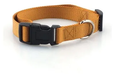 Produktbild von Surtep Animals Hundehalsband