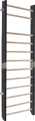 Image de Échelle de gymnastique classique, noire, 230 x 80 cm