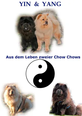 Produktbild von Yin und Yang