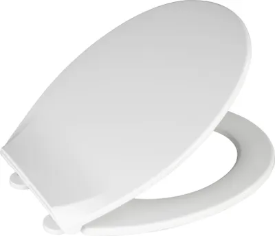 A white toilet seat and lid are shown against a white background.