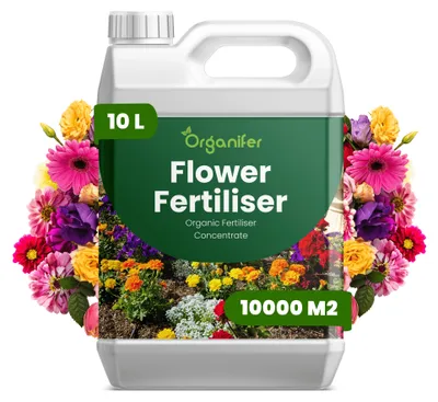 Obrázek produktu pro Flower Tekuté Hnojivo 10 L – 3-4-3 NPK – Pro Kvetoucí Rostliny – Pro Dlhotrvajúcu Kvetonosnosť & Silný Růst – Podporuje Kořeny & Vitalitu – Organifer