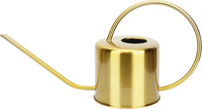 Immagine prodotto di Annaffiatoio da 1300 ml in acciaio inossidabile con beccuccio lungo, per vasi da fiori, innaffiatoio domestico, attrezzo da giardino per bonsai a foglia carnosa, dorato, 1,3 L, acciaio inossidabile