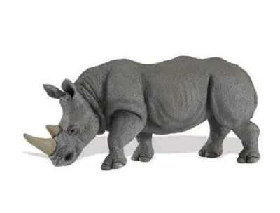 Produktbild von Safari Ltd Figur Eines Weißen Nashorns Grau From 3 Years Kinder Grau From 3 Years