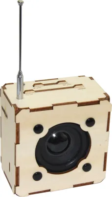 Immagine prodotto di Kit di montaggio in legno per altoparlante Bluetooth con radio FM