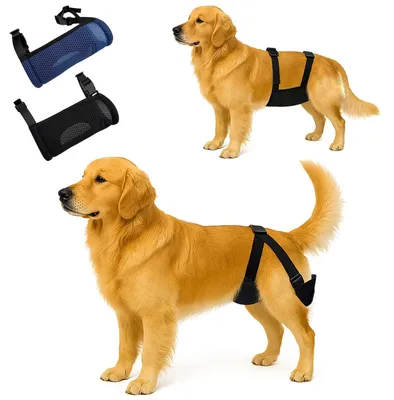 Produktbild von Wiederverwendbare Hundehosen mit saugfähigen Einlagen