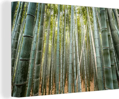 Obrázek produktu pro OneMillionCanvasses® - Obrazy na plátně - 140x90 cm, Bambus - Příroda - Japonsko, Nástěnné umění tisk Nástěnná dekorace