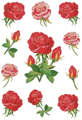 Produktbild von HERMA - Etikett 3581 Rosen | 10 Stück