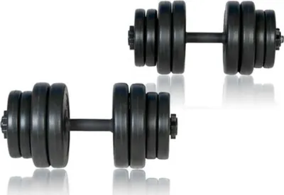 Image de vidaXL Haltères courts 2x15 kg