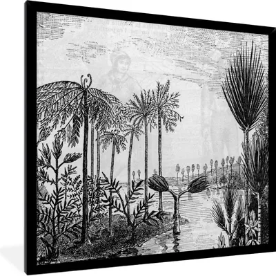 Produktbild von MuchoWow® Gerahmtes Poster Gestaltung - Bäume - Wasser - Natur 40x40 cm - Poster mit Schwarzem Bilderrahmen Wandposter Rahmen Foto Bilder - Mit Rahmen - Wanddekoration Schlafzimmer