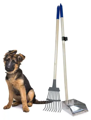 Zdjęcie produktu dla Szczotka do sprzątania z drewnianym trzonkiem, trwała, wykonana z solidnego metalu, z grabiami, wysokość 93,3 cm
