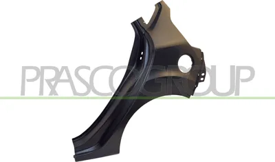 Produktbild von PRASCO FD3443064 Kotflügel Hinten Links für FORD Fiesta Mk6 Schrägheck (JA8, JR8)