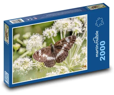 Produktbild von martinpuzzle - Puzzle 2000 Teile - Schmetterling.