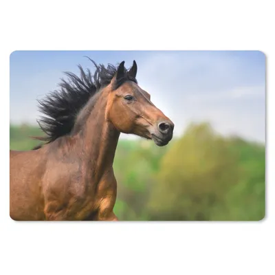 Produktbild von MuchoWow® Schreibtischunterlage Pferd - Tier - Mähne - Braun 60x40 cm - XXL Mauspad - Großes Mauspad