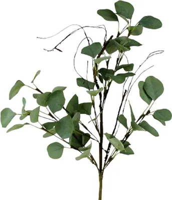 Produktbild von Künstlicher Eukalyptus-Zweig - 60 cm lang, vielseitig einsetzbar, täuschend echt