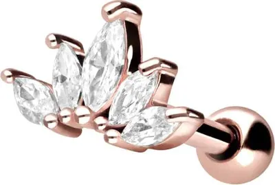 Produktbild von Ohrpiercing Chirurgenstahl Ohrpiercing LOTUSBLÜTE + KRISTALLE