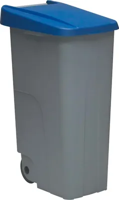 Zdjęcie produktu dla Pojemnik do recyklingu Denox na kółkach i zamknięty pojemnik do recyklingu Asa 110l szary z niebieską pokrywą