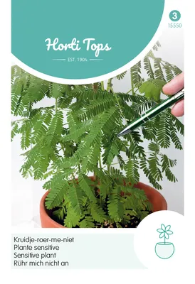 Produktbild von Rühr mich nicht an | Blumensamen von Hortitops [MHD 12/2024]