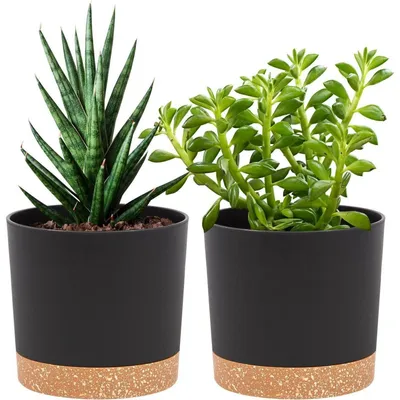 Obrázok produktu pre Sada dvoch kvetináčov, tmavosivá farba, priemer 12,7 cm, s podstavcami, vhodné na vnútorné aj vonkajšie použitie