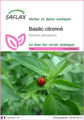 Image de SAFLAX  - Basilic citronné - 200 graines - Ocimum