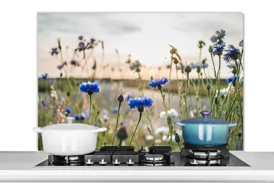 Produktbild von KitchenYeah®  Spritzschutz Küche - Küchenrückwand - Wandschutz für Herd und Spüle - Blumen - Sommer - Kornblume - Blau - Sonne - Wolken 100x65 - Alu-Dibond (Alternative zum Spritzschutz aus Glas) - Hi